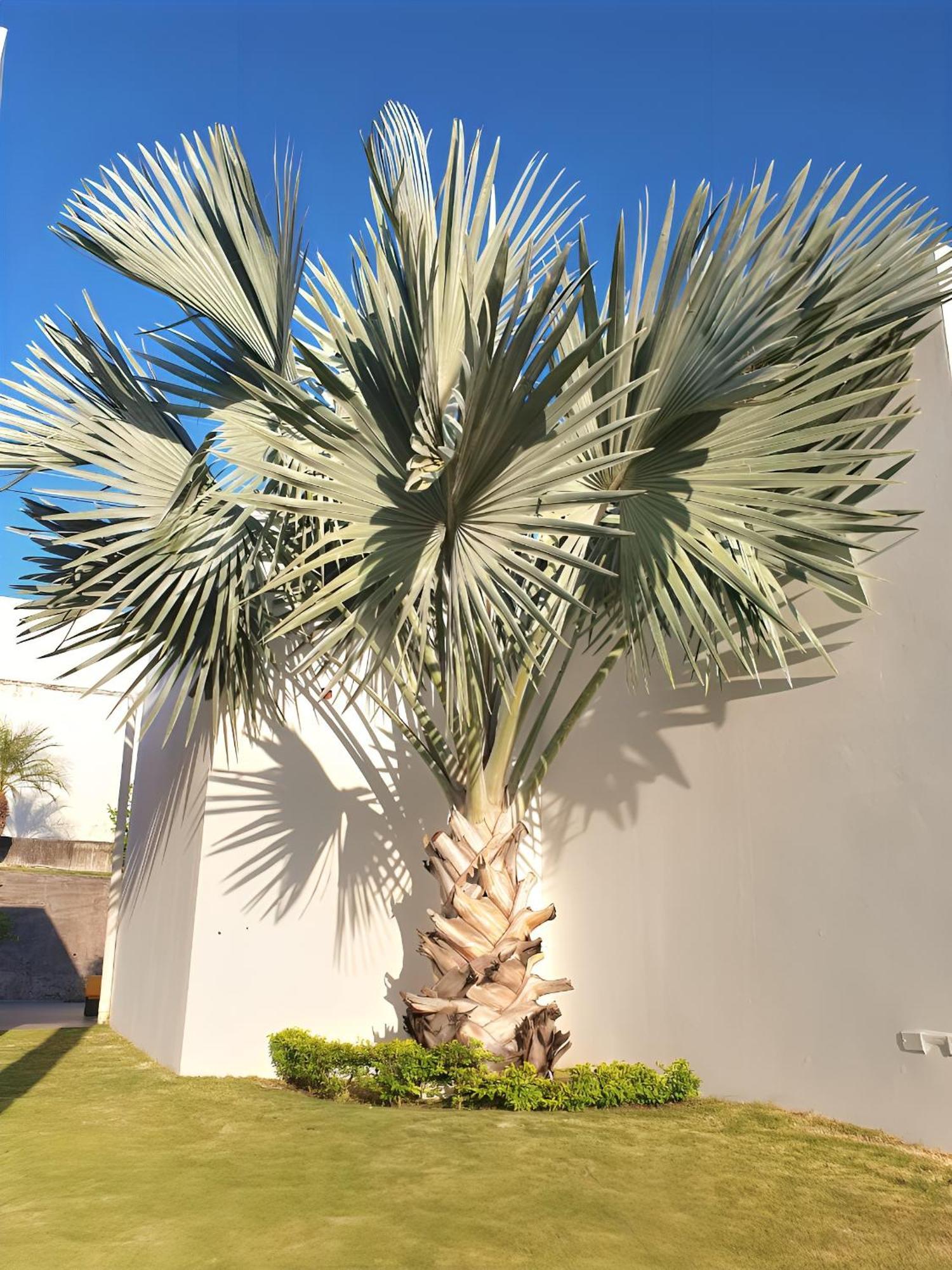 Beach Villa With Cozy Terrace Río Hato Exterior foto